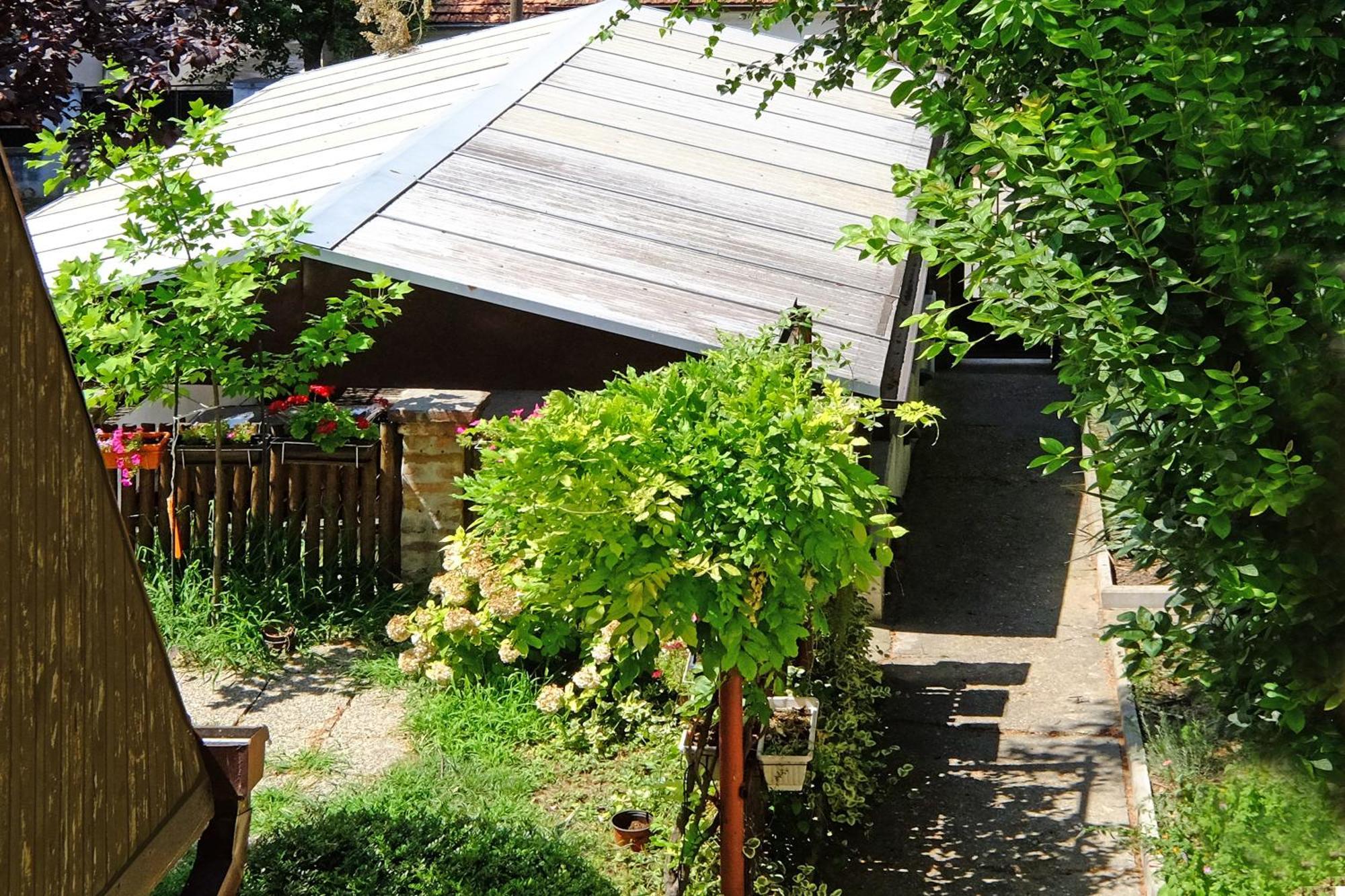 Red Tree Apartment Belgrad Exterior foto